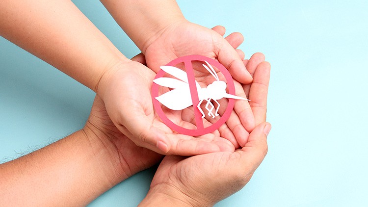 Zwei Hände halten ein Insektenschutzsymbol aus rotem Papier mit einer weißen stilisierten Mücke auf hellblauem Hintergrund.