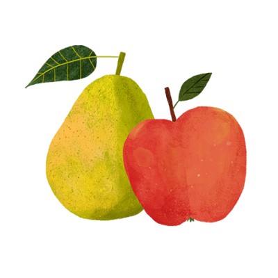 Eine gelbe Birne mit grünem Blatt steht neben einem roten Apfel mit grünem Blatt vor weißem Hintergrund.