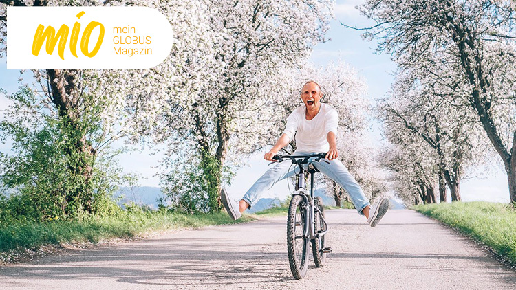 Person fährt freihändig auf einem Fahrrad eine von blühenden Bäumen gesäumte Allee entlang, Text: mio mein GLOBUS Magazin.