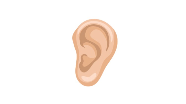 Illustration menschliches Ohr