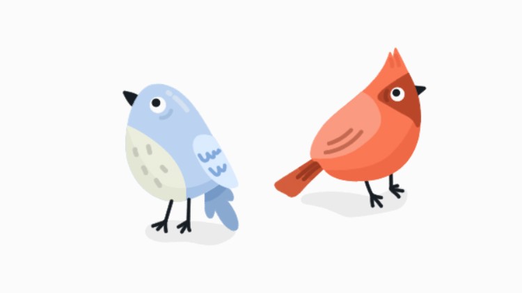 Illustration Vögel