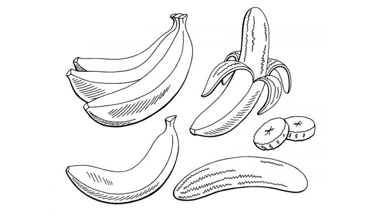 Skizze Banane