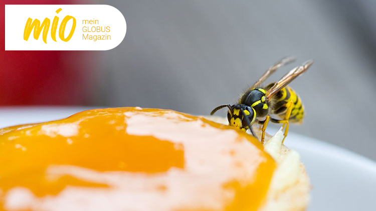 Eine Wespe sitzt auf einem Stück Obst mit gelb-oranger Marmelade, oben links steht „mio, mein GLOBUS Magazin“.