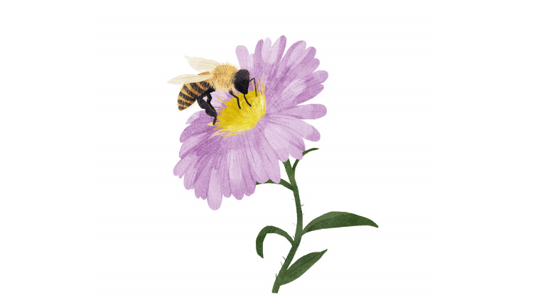 Illustration einer Biene auf einer  Blume