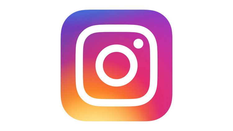 Instagram Icon