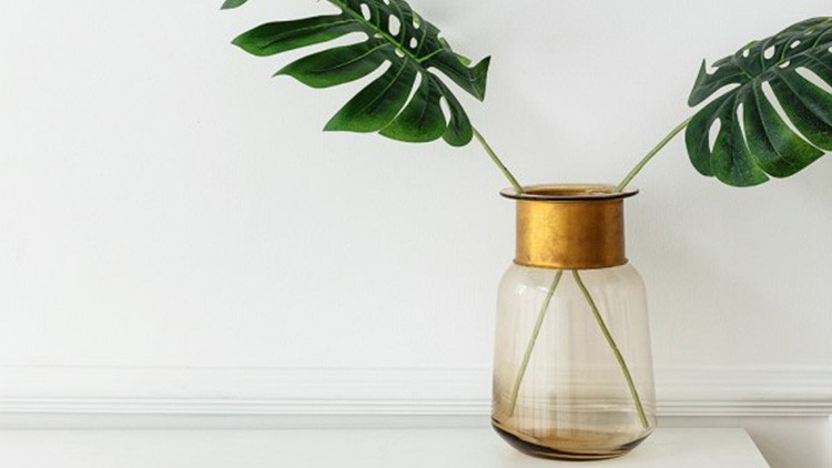 Pflanze in einer Vase