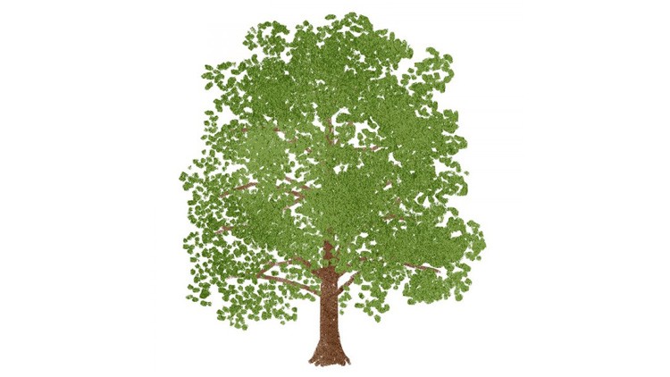 Illustration eines einzelnen Baumes