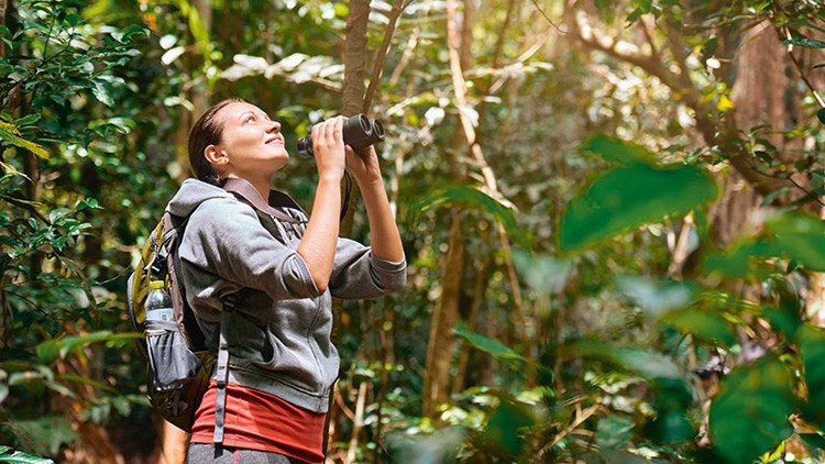 Frau ist mit Fernglas im Wald unterwegs