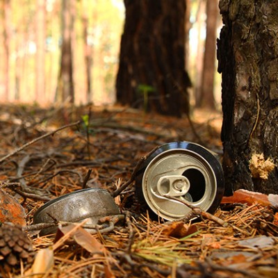 Leere Getränkedose liegt zwischen Nadeln, Zweigen und Zapfen auf Waldboden nahe Baumstämmen in einem lichtdurchfluteten Wald.