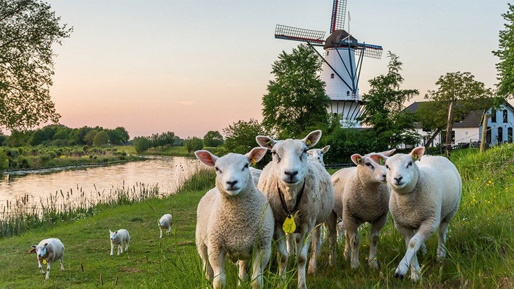 Ab in die Niederlande