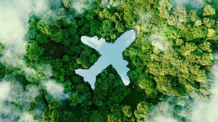 Form eines Flugzeuges in den Wald gestampft