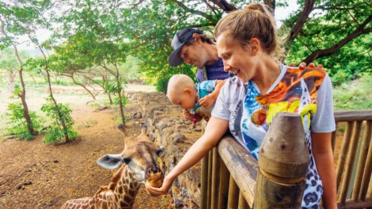Familie füttert Giraffe