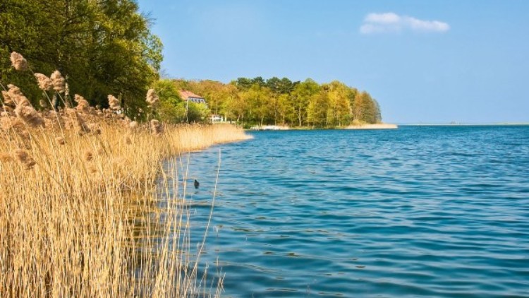 Die Eiszeit hat auf der Mecklenburgischen Seenplatte vielfältige Spuren hinterlassen