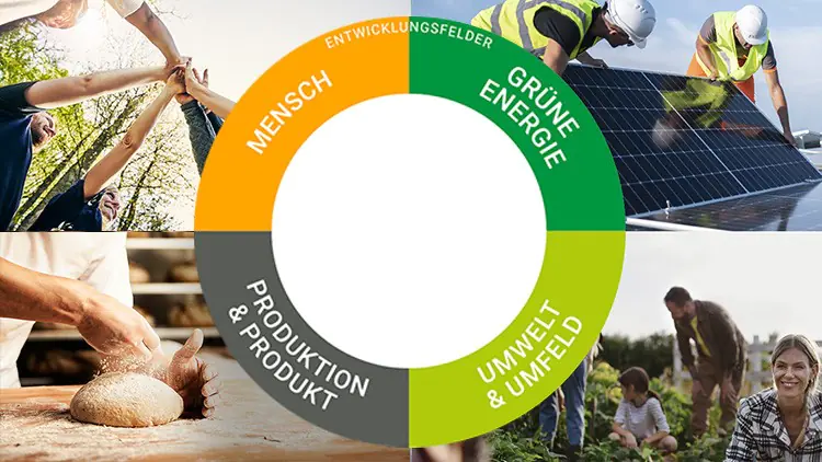 Kreisdiagramm mit den Entwicklungsfeldern Mensch, Grüne Energie, Umwelt & Umfeld sowie Produktion & Produkt, umgeben von vier Bildern.