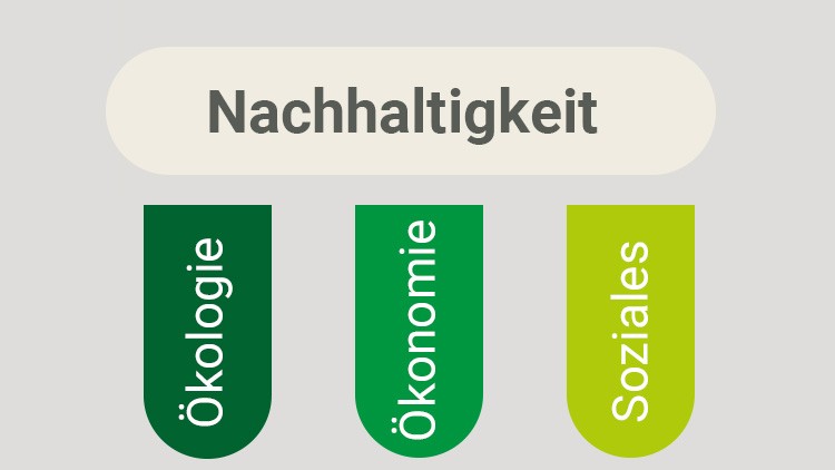 Unter einem Balken mit der Aufschrift „Nachhaltigkeit“ stehen drei grüne Pfeile mit „Ökologie“, „Ökonomie“ und „Soziales“.