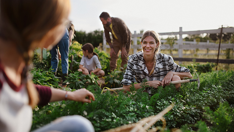 Menschen arbeiten gemeinsam in einem Garten mit grünen Pflanzen, im Hintergrund ein Holzzaun und Bäume.