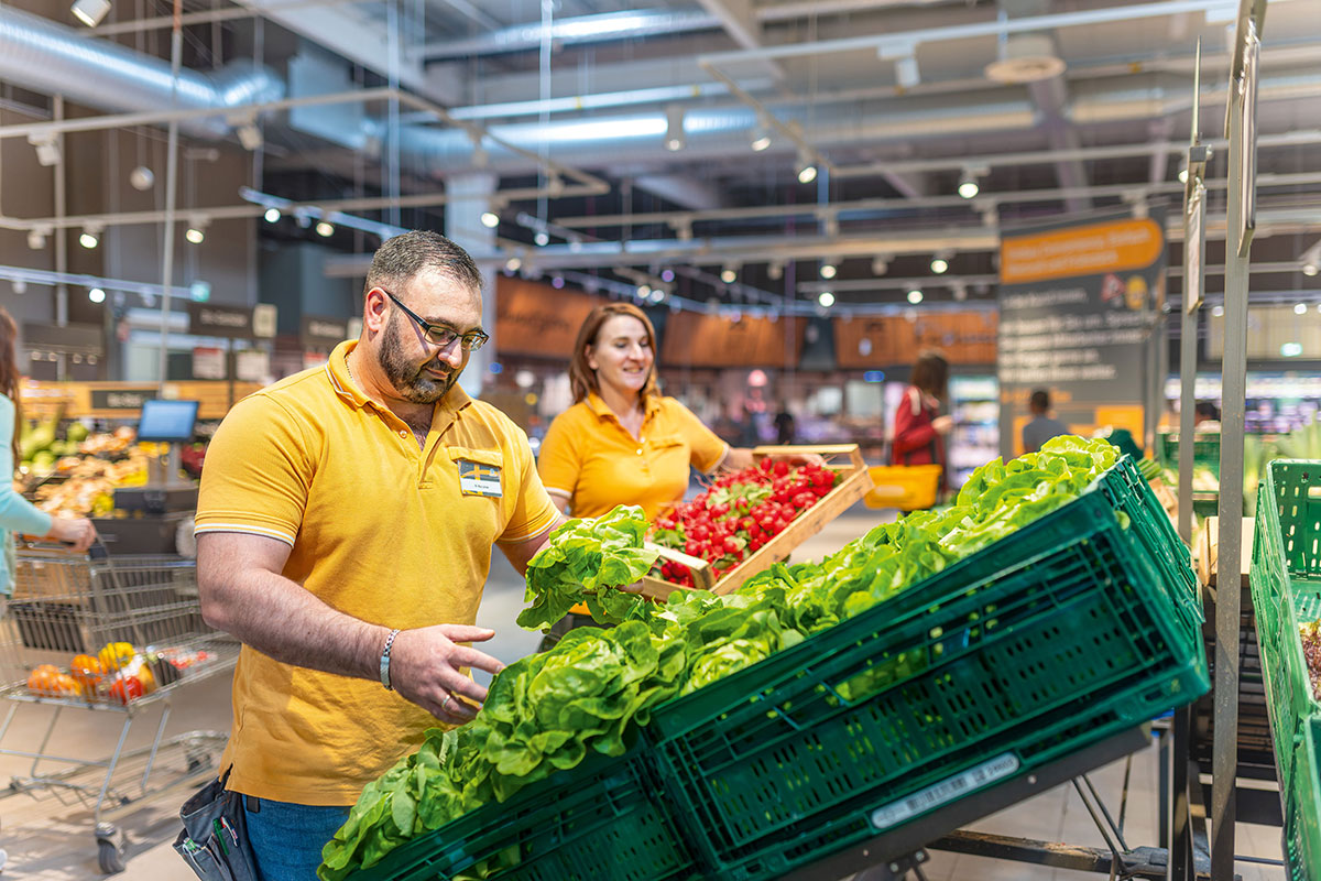 Mitarbeiter in gelben Poloshirts sortieren frische grüne Salatköpfe und rote Tomaten in grüne Kisten im GLOBUS Markt.