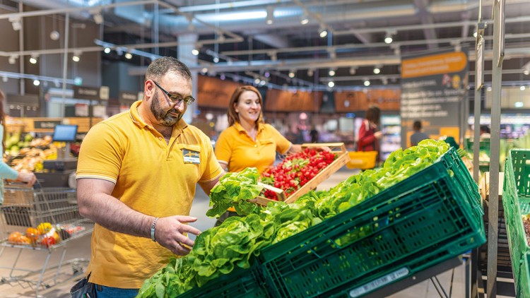 Mitarbeiter in gelben Poloshirts sortieren frische grüne Salatköpfe und rote Tomaten in grüne Kisten im GLOBUS Markt.