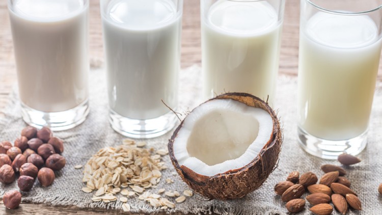 Vier Gläser Pflanzenmilch stehen hinter Haselnüssen, Haferflocken, einer halbierten Kokosnuss und Mandeln auf einem Leinentuch.