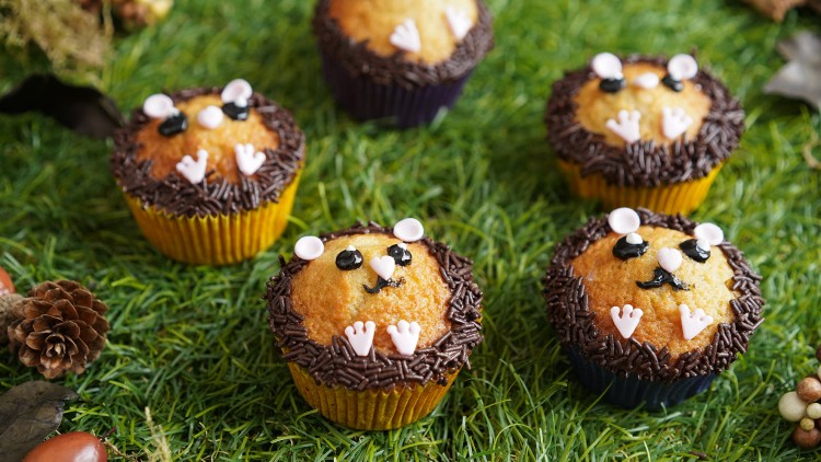 Fünf Muffins mit braunen Streuseln und Zuckerdekoration als Tiergesichter auf einer grünen Wiese mit natürlichen Herbstdekorationen.