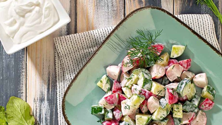 Ein Teller mit Salat aus Radieschen, Gurken und Dill, daneben ein Schälchen mit Joghurt sowie frische Radieschen und Dill.