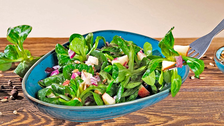 Ein Teller mit frischem Feldsalat, Apfelstücken, roten Zwiebeln und einer Gabel, daneben eine Schale mit Sonnenblumenkernen.