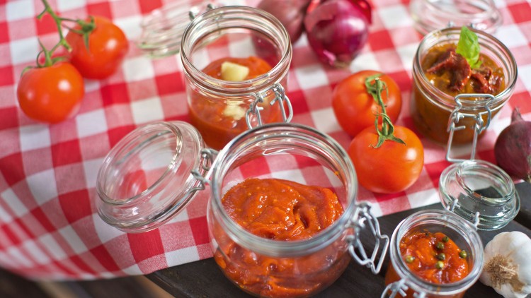 Mehrere Glasbehälter mit Tomatensaucen stehen auf einer rot-weiß karierten Tischdecke, dazu frische Tomaten, Knoblauch und Zwiebeln.