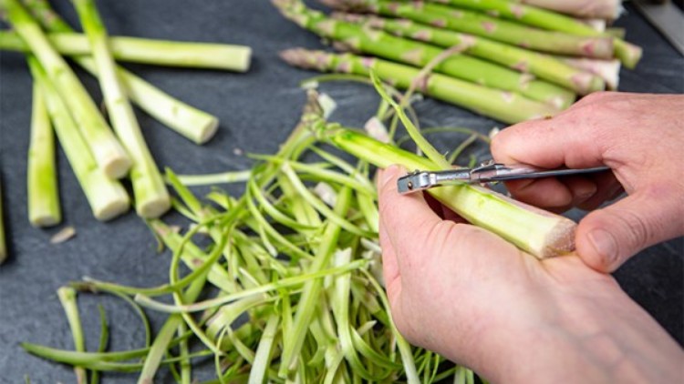 Eine Hand schält mit einem Sparschäler grünen Spargel, daneben liegen Spargelstangen und grüne Schalen auf einer Arbeitsfläche.