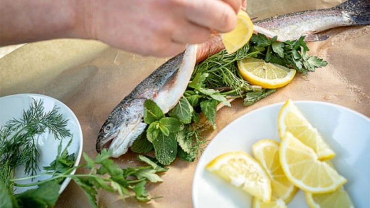 Frischer Fisch auf Backpapier wird mit Kräutern wie Petersilie und Dill belegt, daneben Teller mit Zitronenscheiben.