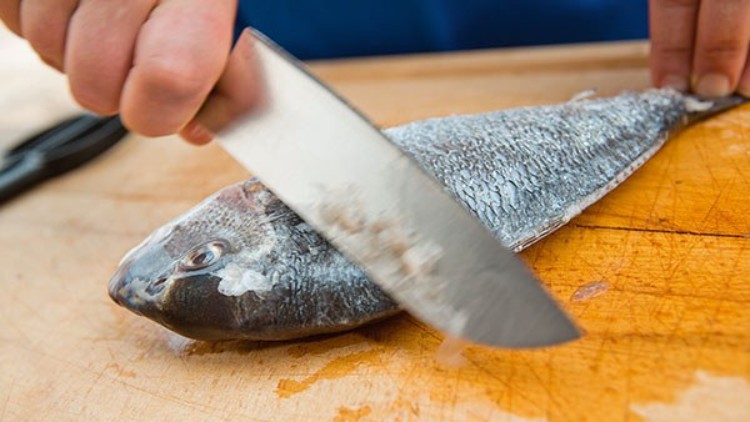 Eine Hand schabt mit einem Messer die Schuppen von einem ganzen Fisch auf einem Holzbrett ab.