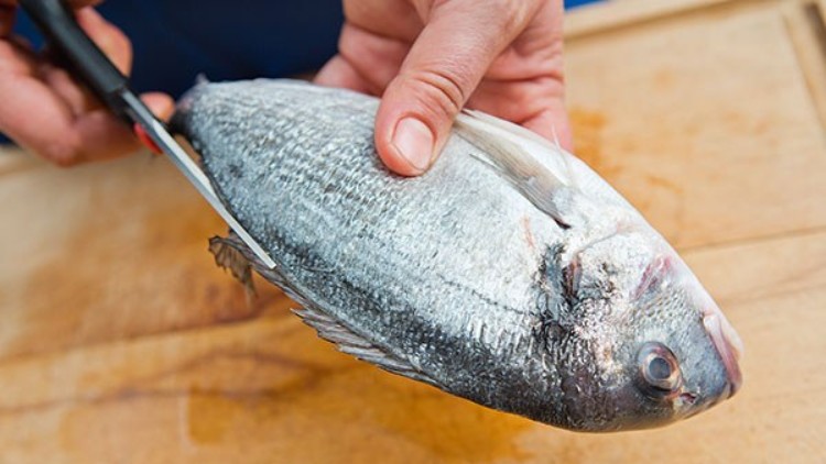 Eine Hand hält einen ganzen, rohen Fisch, während eine Schere die Rückenflosse auf einem Holzbrett abschneidet.
