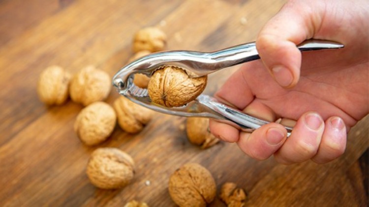 Eine Hand hält einen silbernen Nussknacker, der eine Walnuss öffnet, weitere Walnüsse liegen auf einer Holzfläche.