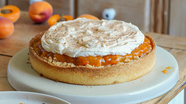 Aprikosenkuchen
