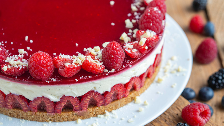 Eine Himbeertorte mit rotem Gelee, frischen Himbeeren und weißer Cremefüllung auf Keksboden auf einem weißen Teller.