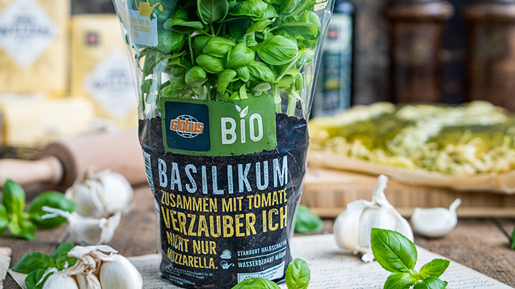 Topf mit frischem Bio-Basilikum von GLOBUS, Schriftzug „Zusammen mit Tomate verzauber ich nicht nur Mozzarella“.