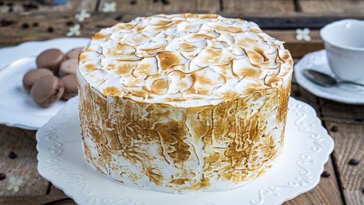 Eine runde Torte mit goldbraun gebräuntem Baiser steht auf einer weißen Kuchenplatte, daneben Schokoladen-Macarons und eine Tasse.