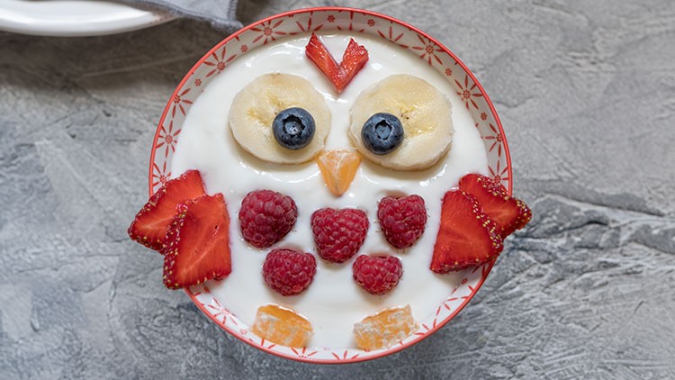 Eine Schale mit Joghurt, dekoriert mit Banane, Blaubeeren, Erdbeeren, Himbeeren und orangefarbenen Fruchtstücken in Form einer Eule.