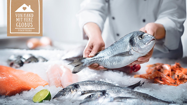 Hände in weißem Kittel halten einen frischen Fisch über einer Theke mit Eis und Meeresfrüchten, links Text: Von Hand mit Herz GLOBUS Fischtheke.