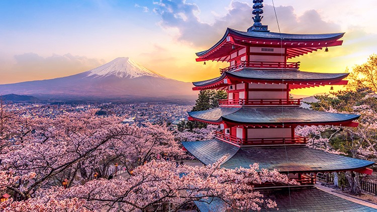 Eine rote Pagode mit mehreren Etagen steht vor blühenden Kirschbäumen und einem schneebedeckten Berg bei Sonnenuntergang.