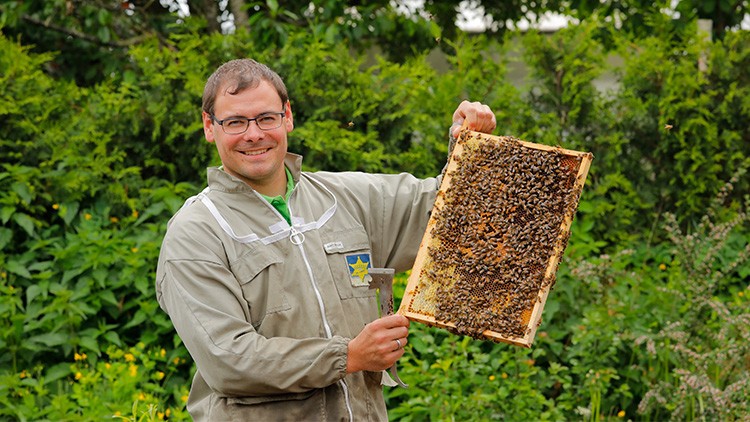 Eine Person in Imkerschutzkleidung hält eine mit Bienen besetzte Wabe vor einer grünen Heckenlandschaft.
