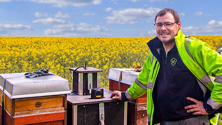 Ein Mensch in gelber Warnjacke steht vor Bienenstöcken, im Hintergrund ein Feld mit gelbem Raps und blauer Himmel.