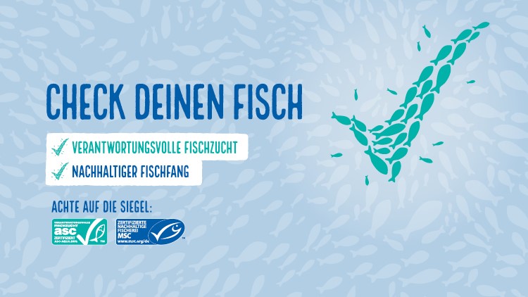 Hellblauer Hintergrund mit Fischmustern, Text „CHECK DEINEN FISCH“ und Infos zu verantwortungsvoller Fischzucht und nachhaltigem Fischfang.