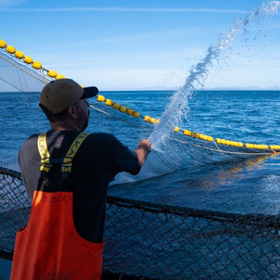 Eine Person mit roter Schürze spritzt Wasser auf ein Fischernetz auf einem Boot, darüber fliegen zwei Vögel, im Hintergrund das Meer.
