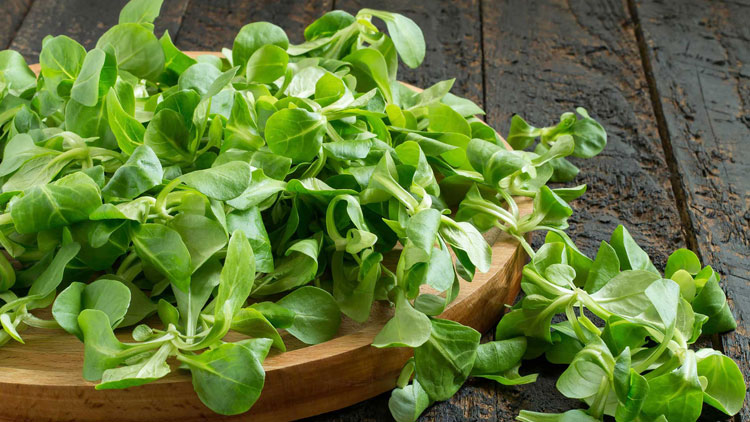 Frischer grüner Feldsalat liegt auf einem runden Holzbrett, das auf einer rustikalen dunklen Holzoberfläche steht.