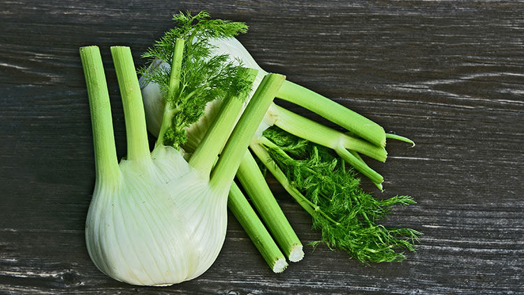 Frische Fenchelknollen mit grünen Stielen und zartem Fenchelkraut auf dunklem Holzuntergrund.