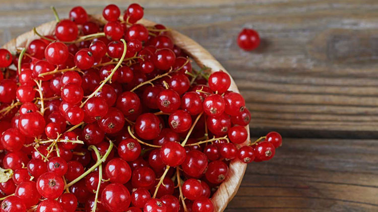 Rote Johannisbeeren liegen in einer Holzschale auf einem rustikalen Holztisch, eine Beere liegt daneben.