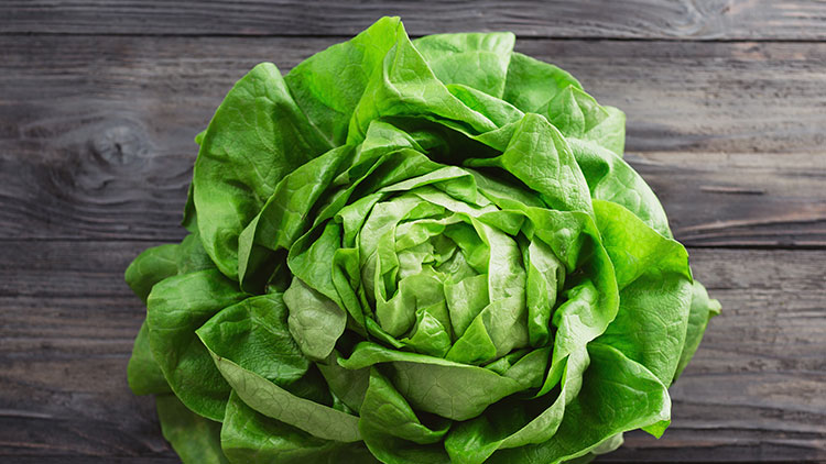 Ein grüner Kopfsalat liegt auf einer rustikalen, grauen Holzoberfläche.