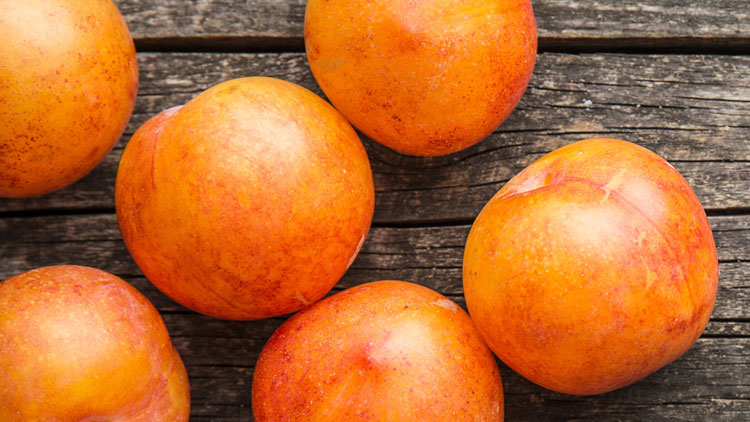 Sechs orangefarbene, glatt glänzende Mirabellen liegen auf einer rustikalen Holzoberfläche mit sichtbarer Maserung.
