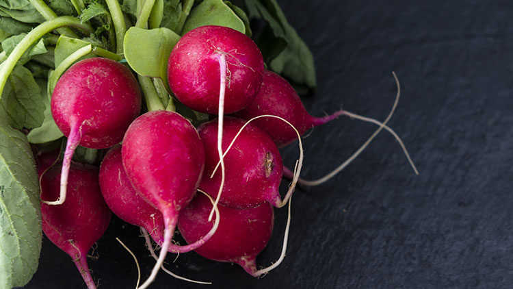 Rote Radieschen mit grünen Blättern liegen auf einem dunklen Schieferuntergrund.