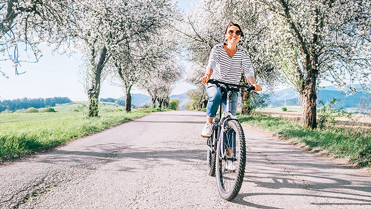 Person in gestreiftem Shirt fährt auf einem Fahrrad eine von blühenden Bäumen gesäumte Straße entlang, mit grüner Landschaft im Hintergrund.